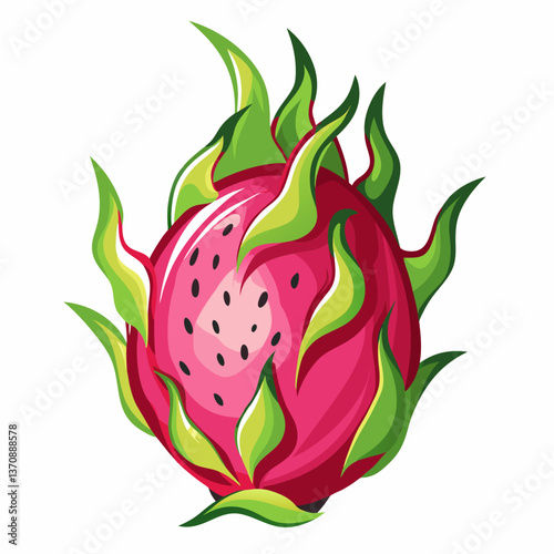 Dragonfruit Fruits vector art illustration