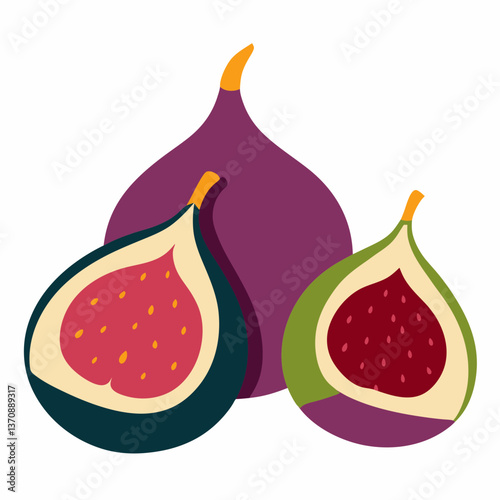 Fig Fruits vector art illustration