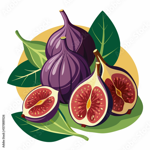 Fig Fruits vector art illustration
