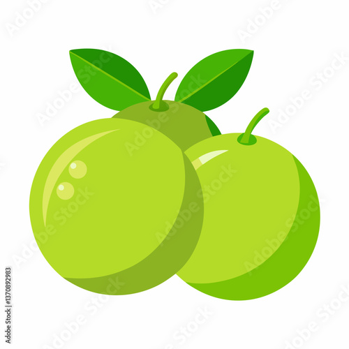 Lime Fruits vector art illustration