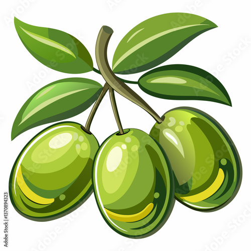Olive Fruits vector art illustration 