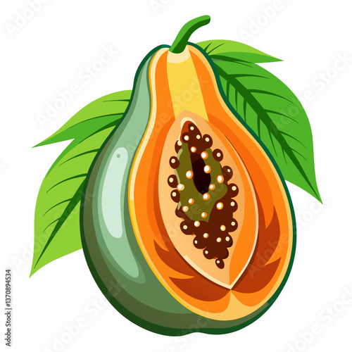 papaya Fruits vector art illustration  vector art illustration 