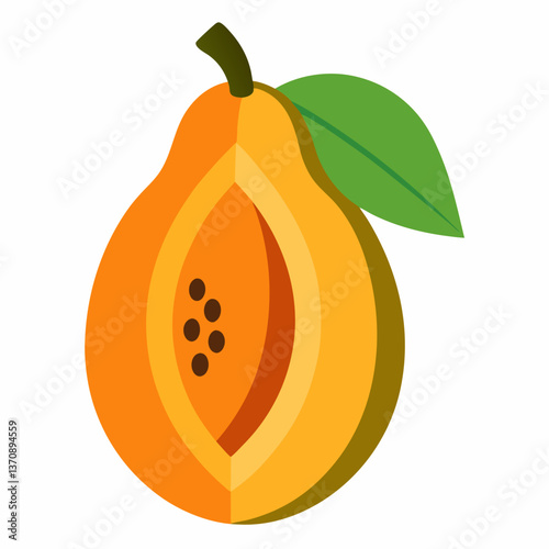 papaya Fruits vector art illustration  vector art illustration 
