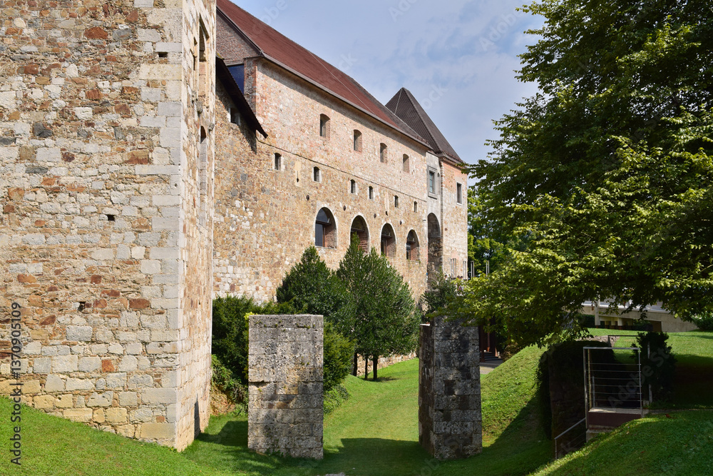 Fototapeta premium Le Ljubljanski Grad (XIIème siècle)