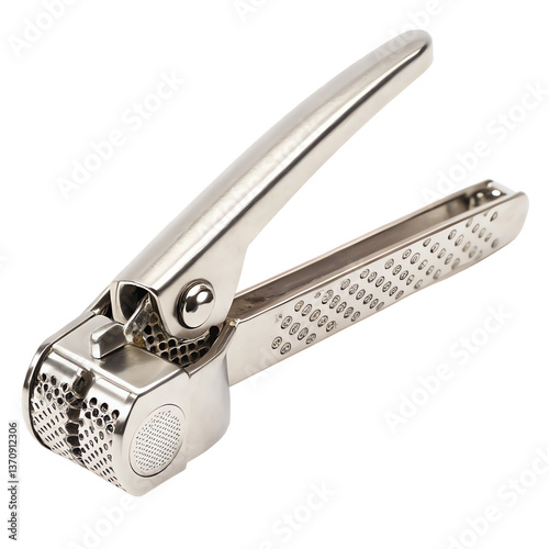 Stainless Steel Garlic Press