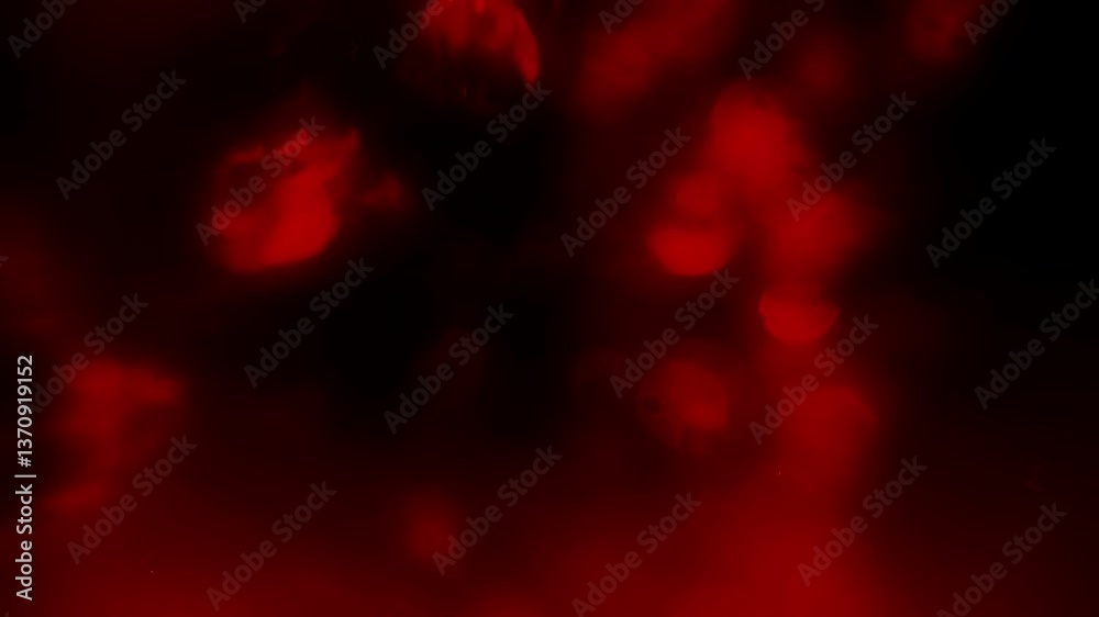 red abstract steam bubbles background red abstract steam bubbles background