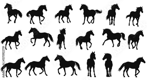 Silhouette collection of horses in various poses.