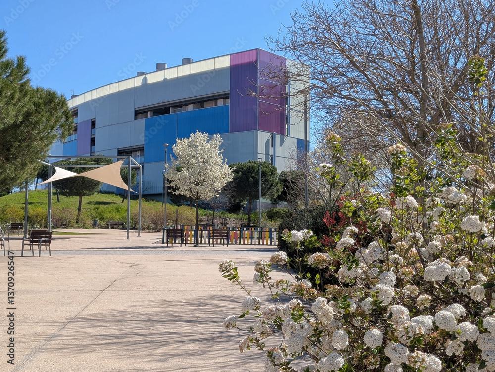 Modern building surrounded by blooming flowers in a serene park