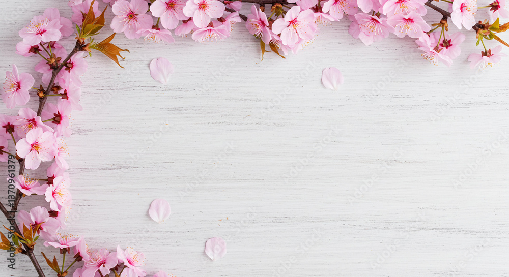 custom made wallpaper toronto digitalDelicate Pink Cherry Blossom Branches Frame on White Wooden Background