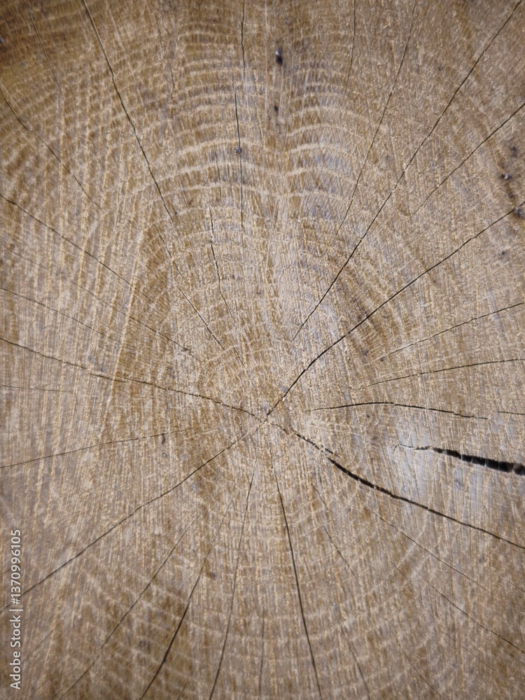 Fototapeta premium wood texture background