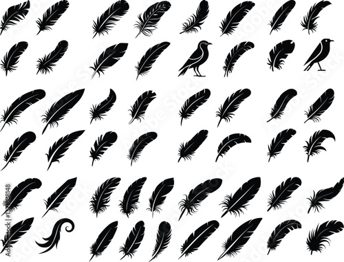  Set of Bird Feather. Feathers vector set in a flat style. Pen icon. Black quill feather silhouette. Bird Feather icon set. Feathers vector set in a flat style. Pen icon. Black quill feather silhouett