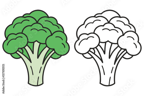 Fresh Broccoli Duo Green Vegetable & Outline Version on a White Background