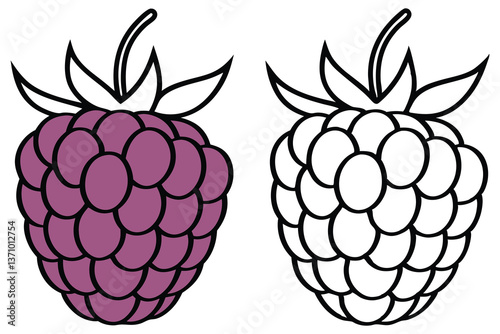Duo Raspberry Vector, Purple Berries Outline Illustration, Isolated on White Background