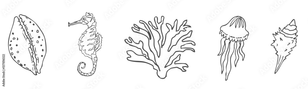 Sea shell sketch ocean life hand drawn illustration. Outline modern style, summer, vacation, beach design elements. Coral and seaweed, starfish line. Sea shell sketch ocean life hand drawn illustration. Outline modern style, summer, vacation, beach design elements. Coral and seaweed, starfish line.