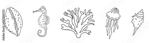 Sea shell sketch ocean life hand drawn illustration. Outline modern style, summer, vacation, beach design elements. Coral and seaweed, starfish line. 