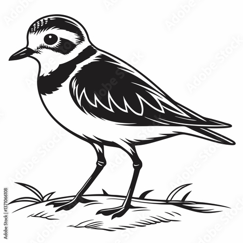 Piping plover black silhouette icon vector