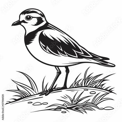 Piping plover black silhouette icon vector