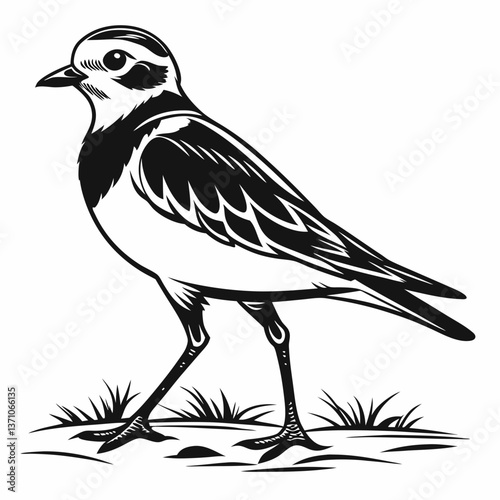 Piping plover black silhouette icon vector