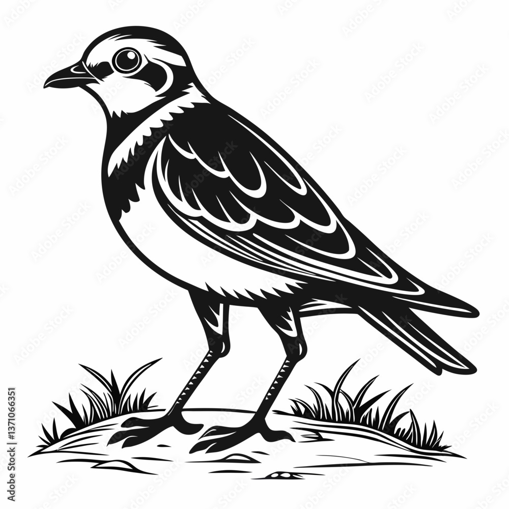 Fototapeta premium Piping plover black silhouette icon vector