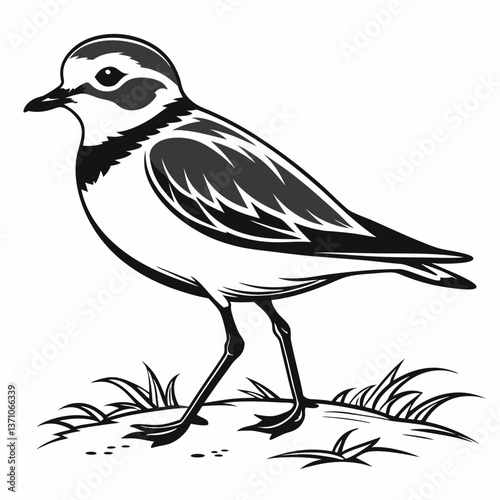 Piping plover black silhouette icon vector