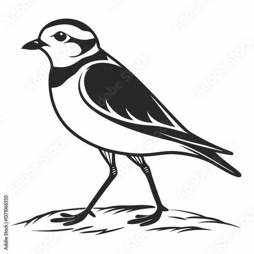 Piping plover black silhouette icon vector