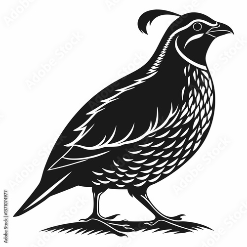 Wallpaper Mural quail black silhouette icon vector Torontodigital.ca