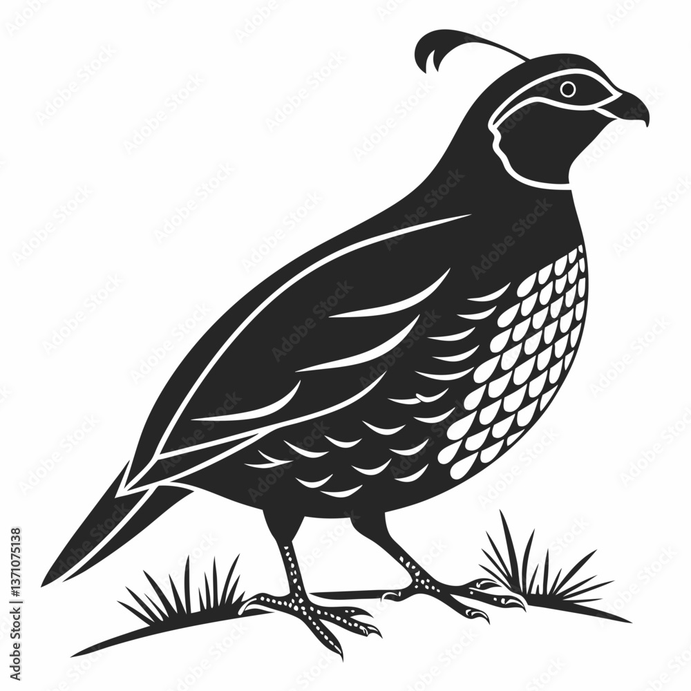 Fototapeta premium quail black silhouette icon vector