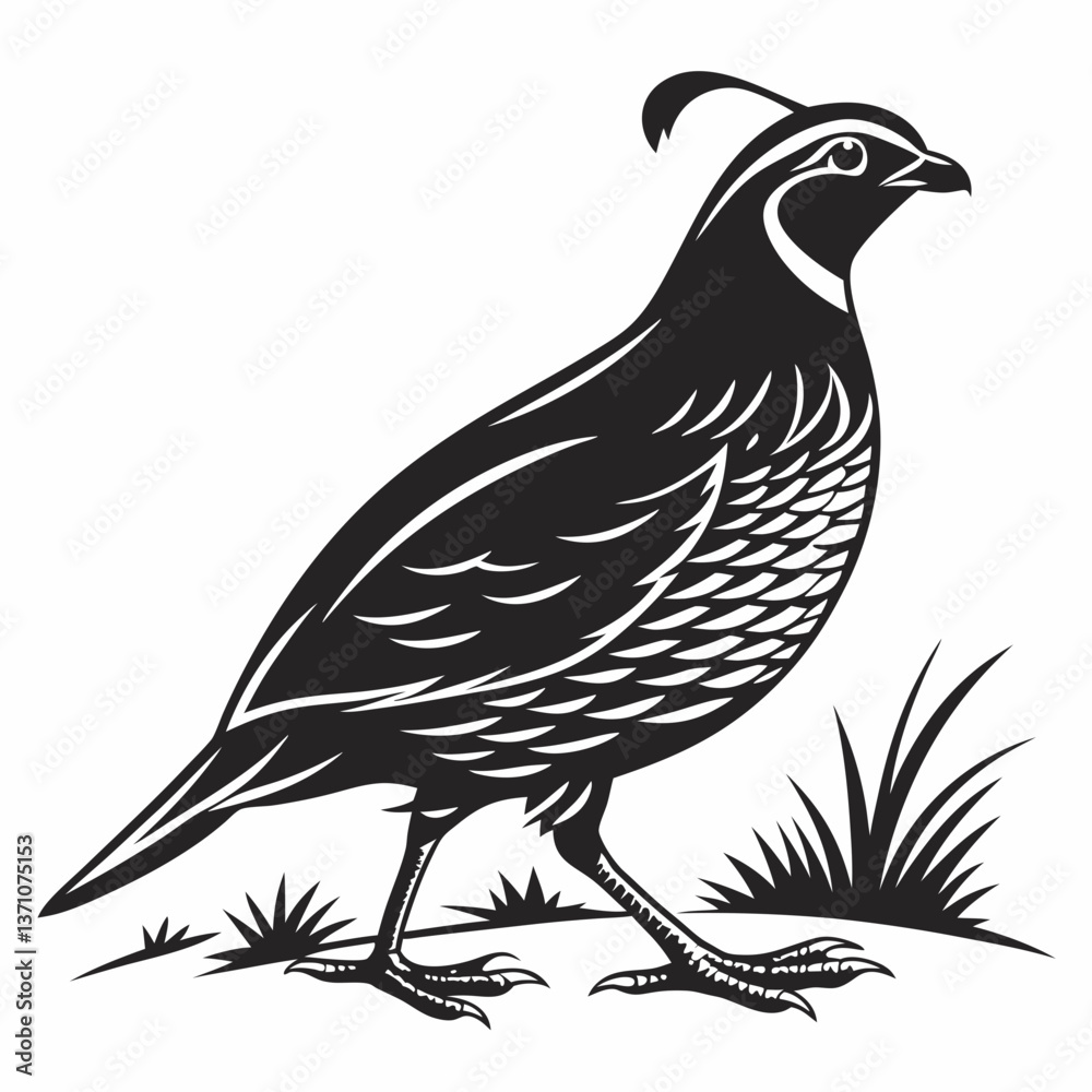 Fototapeta premium quail black silhouette icon vector