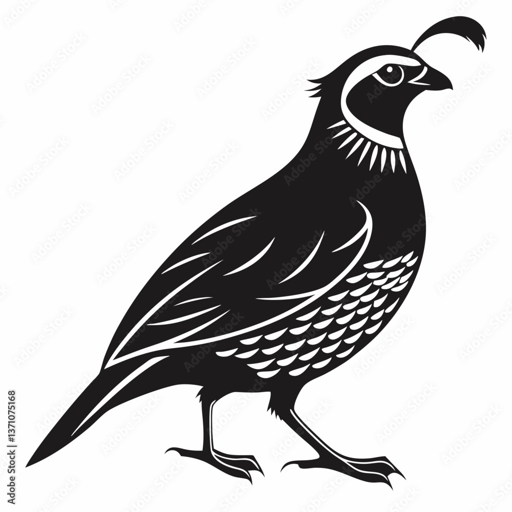 Fototapeta premium quail black silhouette icon vector