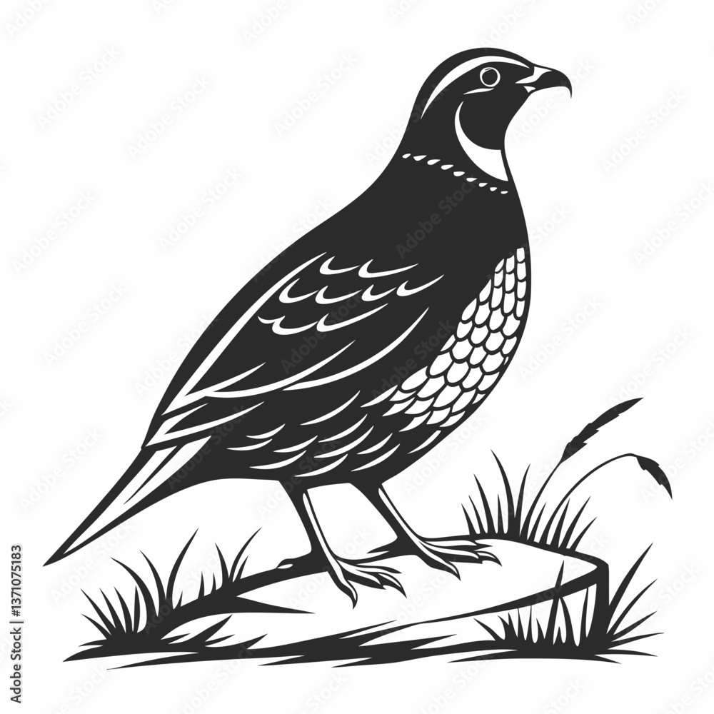 Fototapeta premium quail black silhouette icon vector