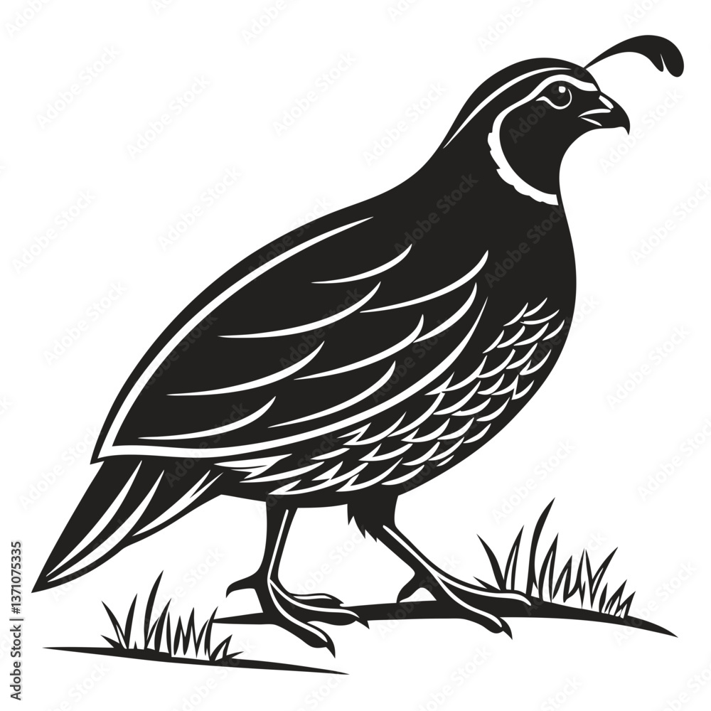 Fototapeta premium quail black silhouette icon vector