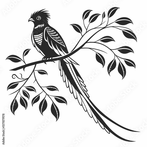Quetzal black silhouette icon vector