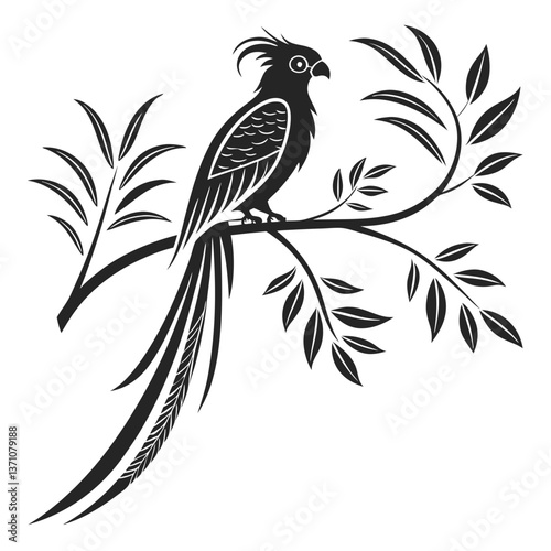 Quetzal black silhouette icon vector