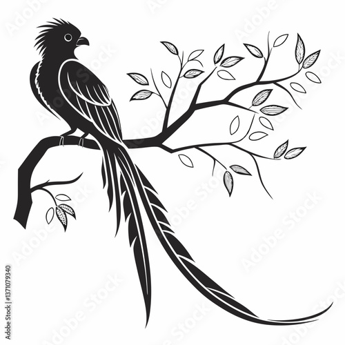 Quetzal black silhouette icon vector