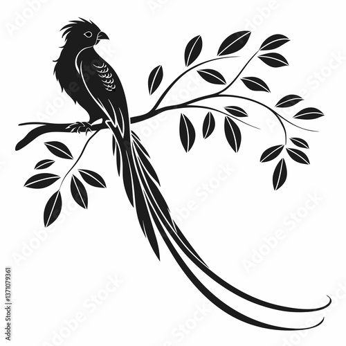Quetzal black silhouette icon vector