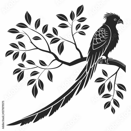 Quetzal black silhouette icon vector