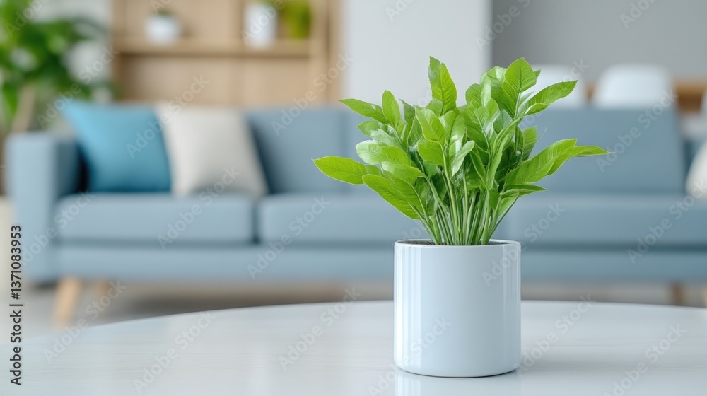 Potted plant on a coffee table in a modern living room Potted plant on a coffee table in a modern living room