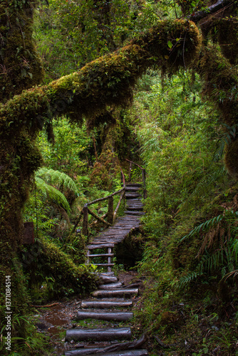 Pumalin Park, Chile