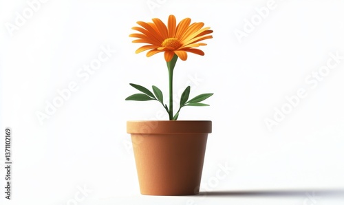 Wallpaper Mural Single orange flower in terracotta pot on white Torontodigital.ca