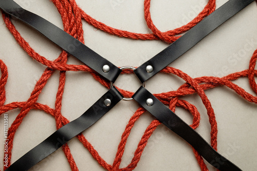 Принти на полотні Entwined jute rope creates complex designs, showcasing the artistry of shibari