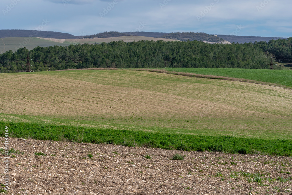 A field with a mix of green and brown grass. The field is surrounded by trees and has a peaceful, serene atmosphere. A field with a mix of green and brown grass. The field is surrounded by trees and has a peaceful, serene atmosphere.