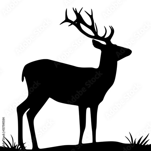 Silhouette Deer Standing in Meadow