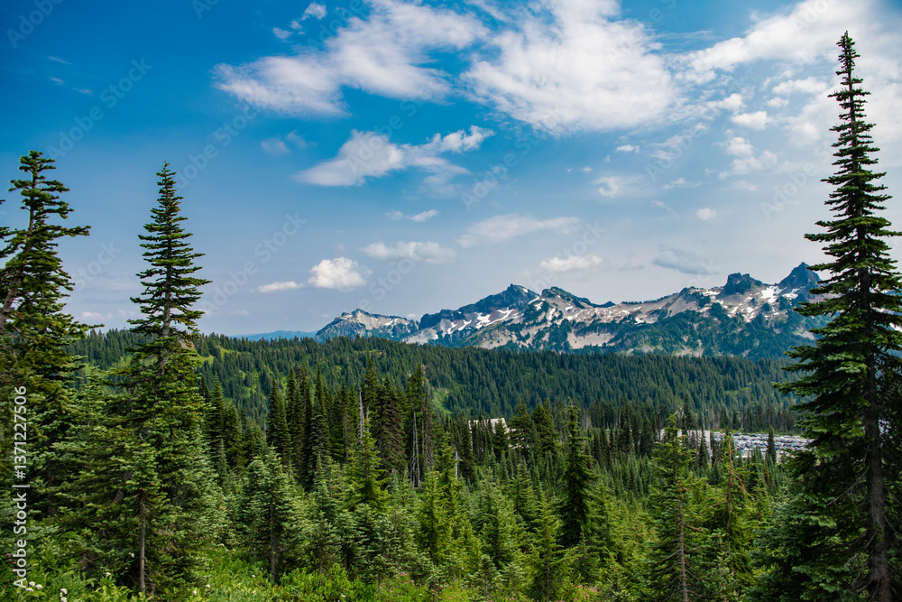 Obraz premium Mountain landscape. Forest nature with mount. Nature in mountain countryside. Scenery landscape of mountain. Scenery coniferous forest. Pine tree and mountain landscape with forest