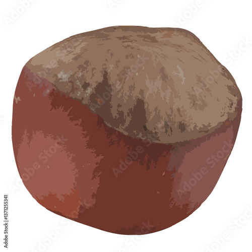 Hazelnut