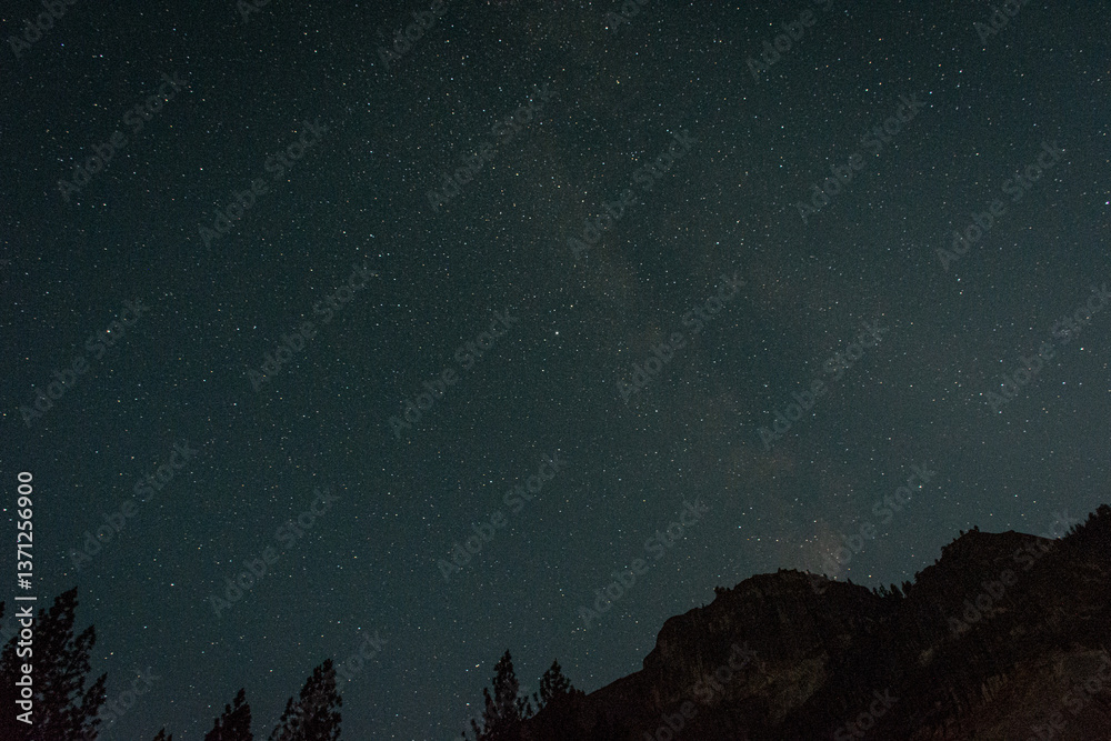 Fototapeta premium starry night sky