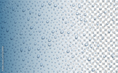 Vector Water drops on glass. Rain drops on transparent background