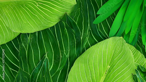 Texture background with different exotic leaves