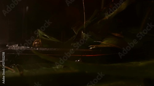 Wallpaper Mural Slow  motion 4k jungle military scene knife and hand grenade with camera dolly movement and rain - camera dolly right to lett in slow motion - ends up at heavy rain and grenade Torontodigital.ca