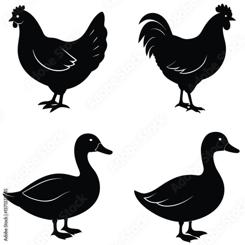  Chicken Silhouette Collection