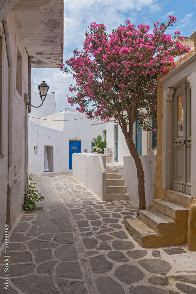 Naklejka premium Gasse in der Altstadt von Parikia, Paros